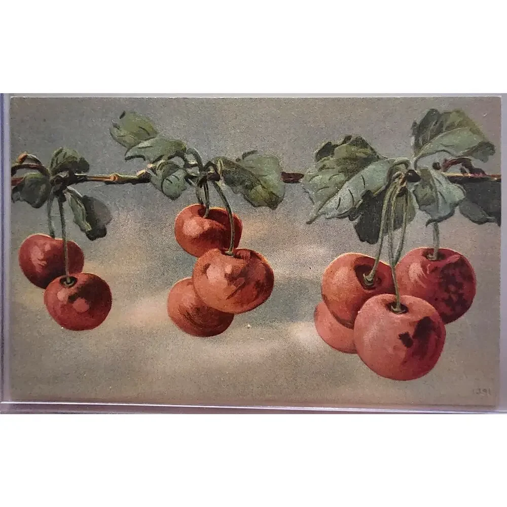 Lot Of Four Vintage Antique Embossed Postcards Fruit